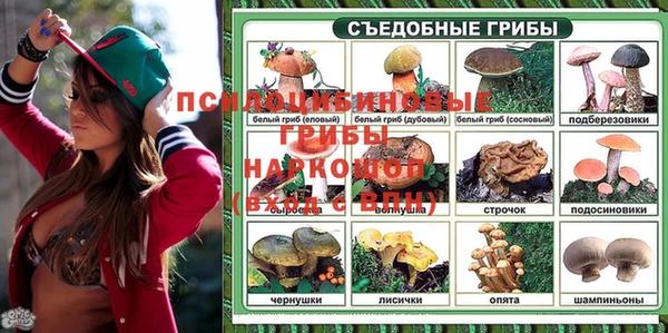 СК Аркадак