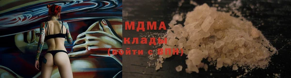 мдпв Арсеньев