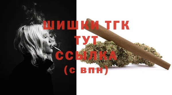 СК Аркадак