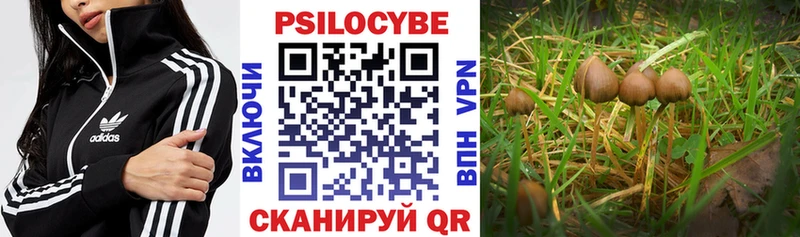 маркетплейс официальный сайт  как найти закладки  блэк спрут зеркало  Петухово  Псилоцибиновые грибы Cubensis 